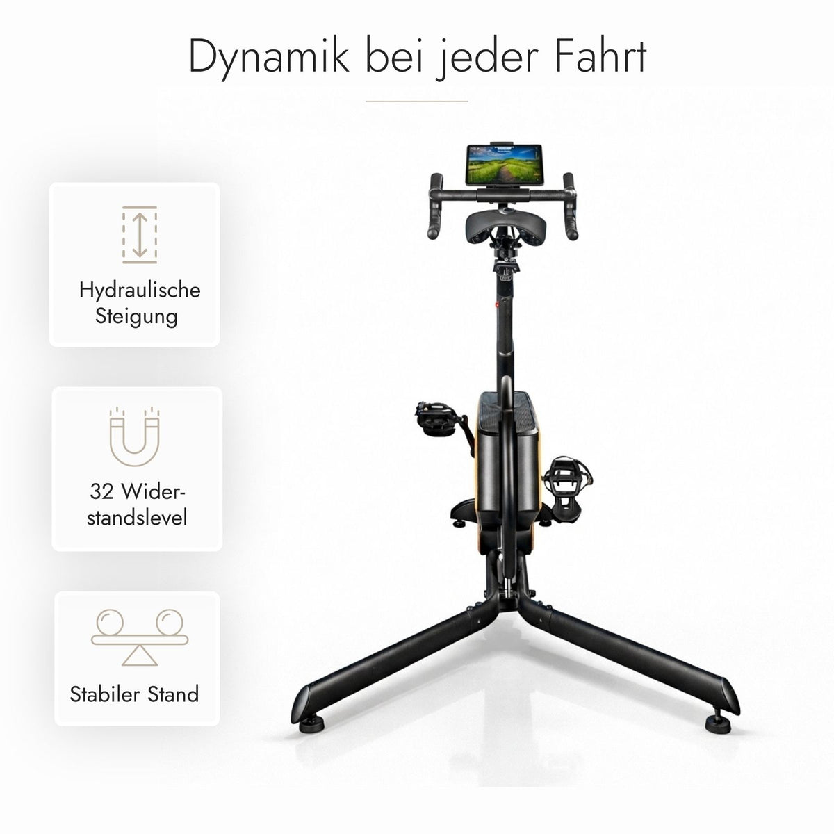Kuipers S1 Indoor Bike in Helle Esche – Ansicht 4