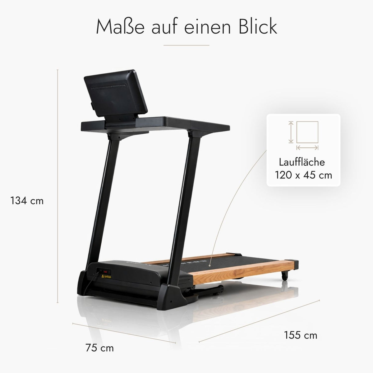 Kuipers R1 Laufband in Helle Esche mit TFT-Display – Ansicht 2 